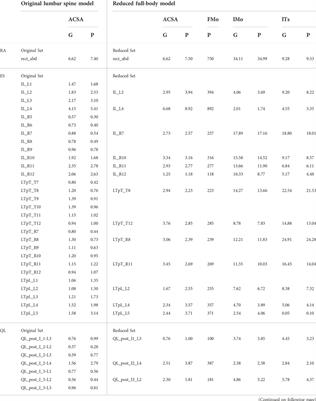 A computational method for estimating trunk muscle activations during gait using lower extremity muscle synergies